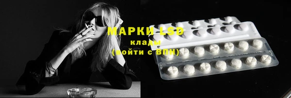 крисы Белоозёрский